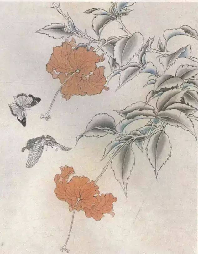 国画花鸟画教程:工笔蝴蝶的画法步骤 工笔画蝴蝶白描图片上色步骤