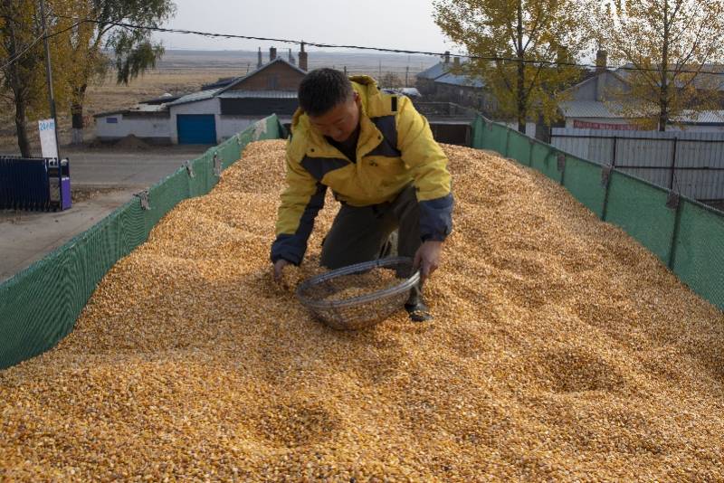 农业部：粮食总产13390亿斤，连续6年超13000亿斤