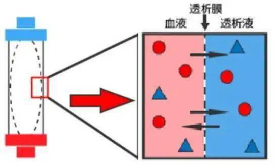 (透析液)在空心纤维内外,通过弥散,超滤,吸附和对流原理进行物质交换