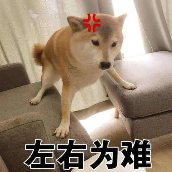 47b376021d7f4834b7773357a58d25e2.jpeg