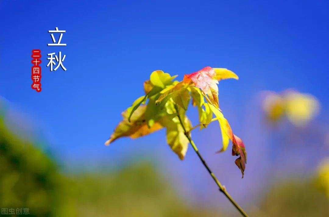 『千家风采』赵士红七绝《二十四节气(新韵)》