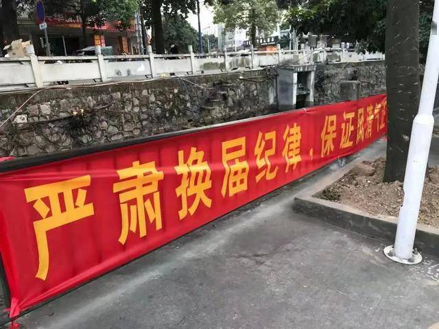 高频次,多维度!东凤镇深入开展村(社区)"两委"换届宣传