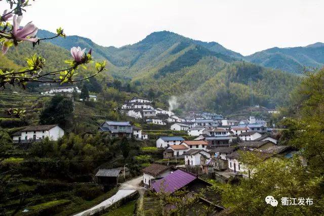 东坪村破石村上岗头村茶坪村衢江区(5个)柯城区航埠镇严村柯城区石室