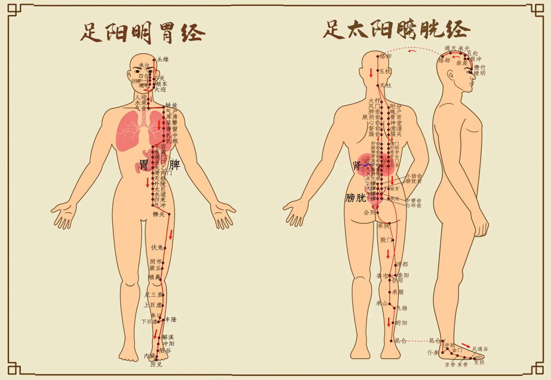 3.百强承里八髎摩方