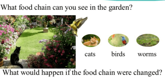 7fcb853d66654331ac45ed5ecb15a0f1.png