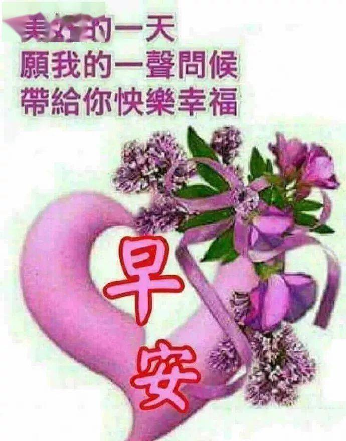 温暖的早上好鲜花祝福动态图片,冬季微信早上好温馨祝福送给大家