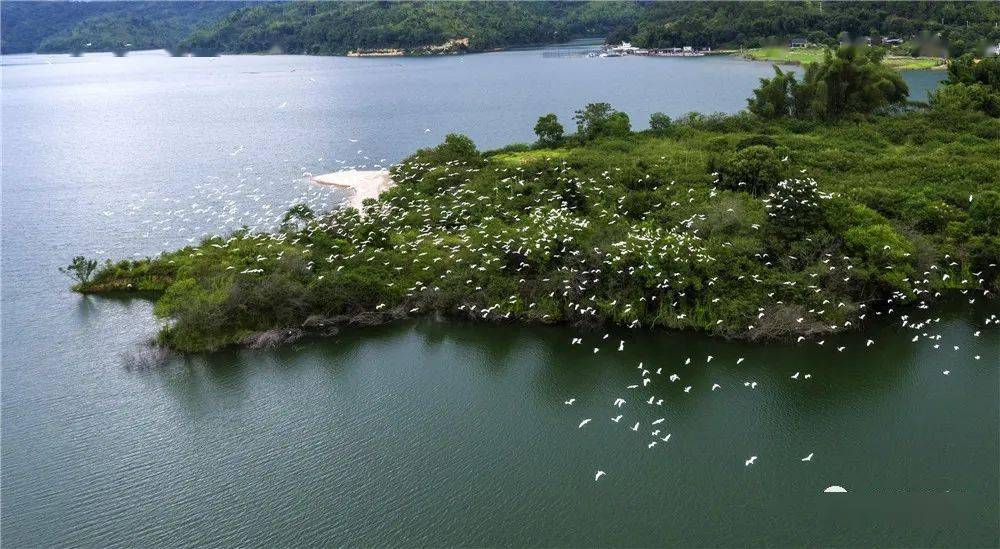 2020国考名次排名_1至11月,这份国考榜单,河源排名第9!