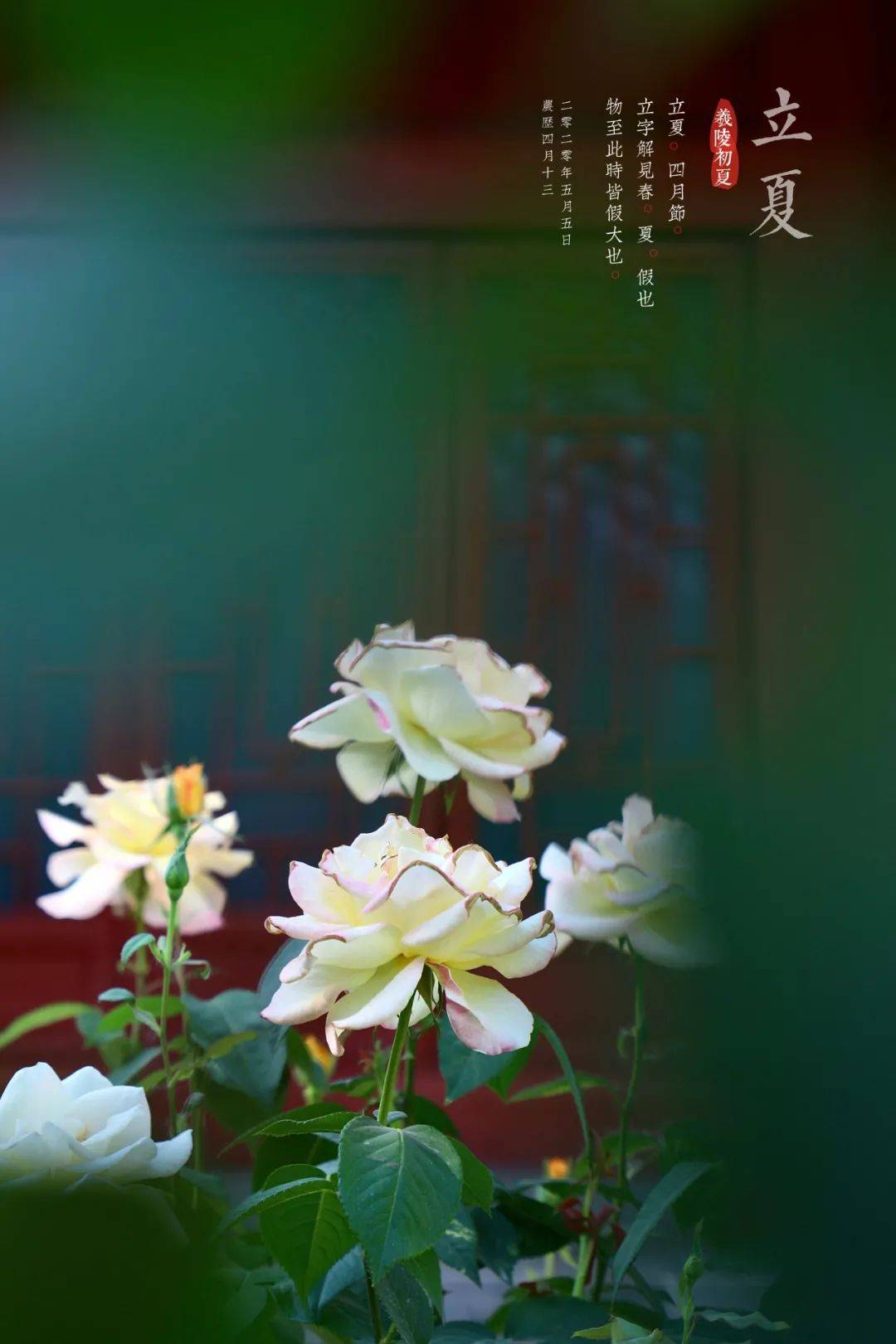 唐 韩愈《晚春》