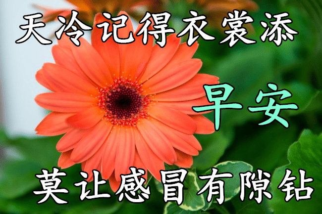 5d0937a8808c4b61b6f00385517ebb64.png