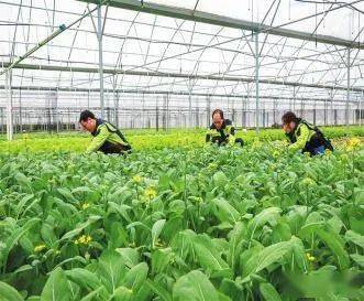 我市获批第九批国家农业科技园区建设单位_乐平市