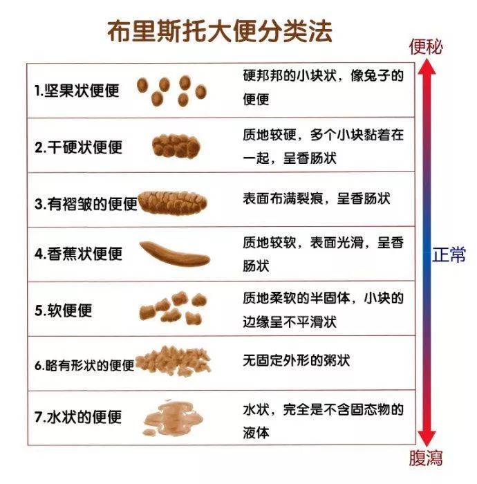 用简单3步检查大肠健康!