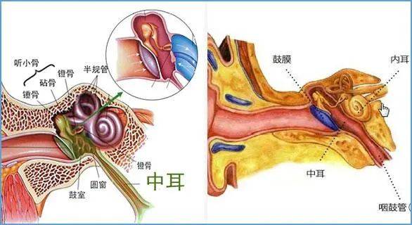 辅导作业,一耳光将孩子耳膜打穿孔!2名男孩接连紧急送医!