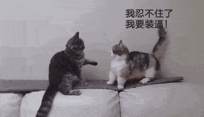 698d9016b82b49d5b22ac0de4b0a41c4.gif