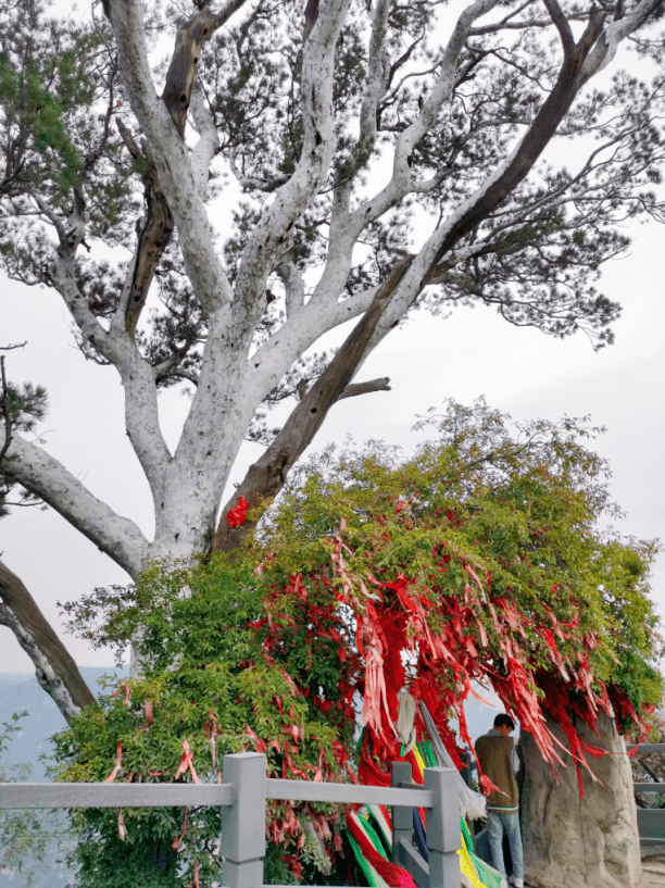 2021新年祈福哪里去?神农山上拜神农!