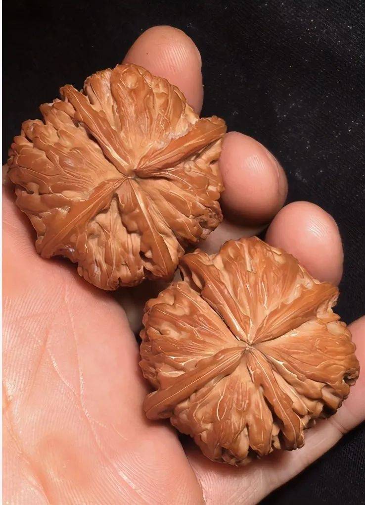文玩核桃中的那些不多见的四棱