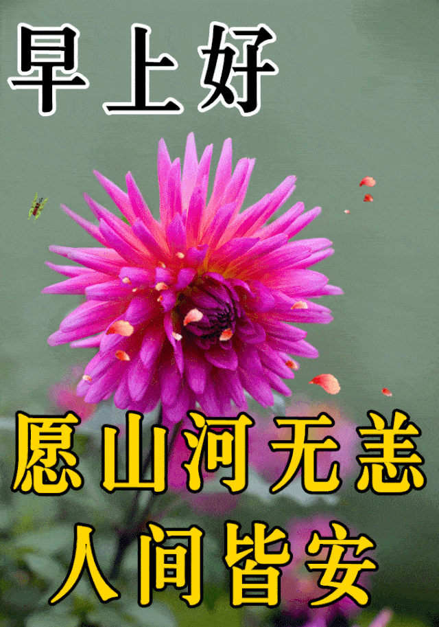您乘座的快速k2020次列车即将到站,请整理好自己的回忆,准备转乘高速