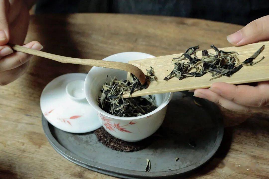 什么人不能喝白茶 4d3b5c0129b943cd915cfbc01c3f3a52.jpeg