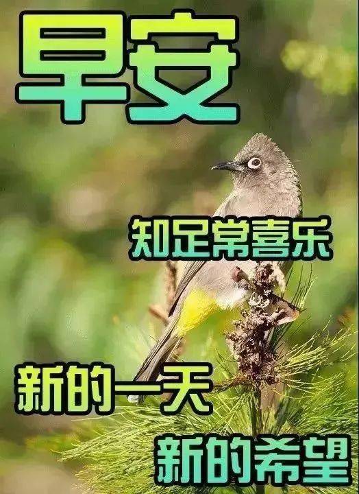 半岛体育中老年表情包：开心每一秒幸福每一年！(图5)