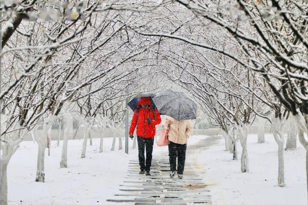 海量雪景大图来啦!_初雪