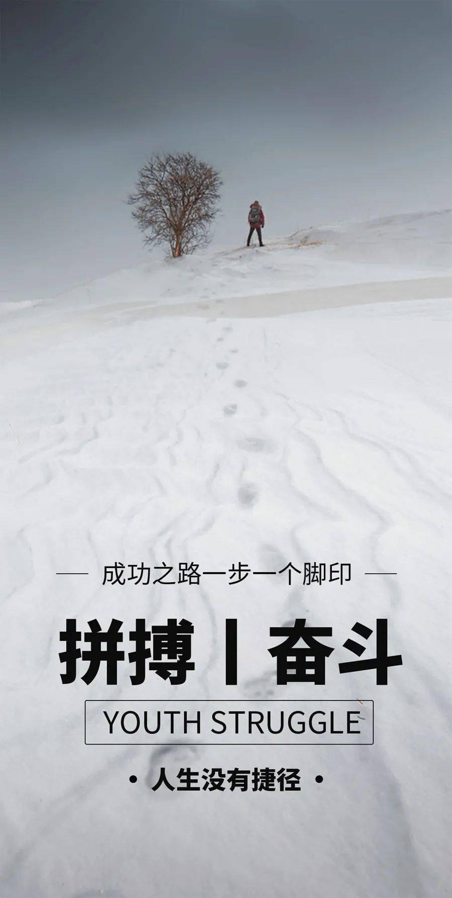 53ed2d8992e140059a58de62c03f9403.jpeg