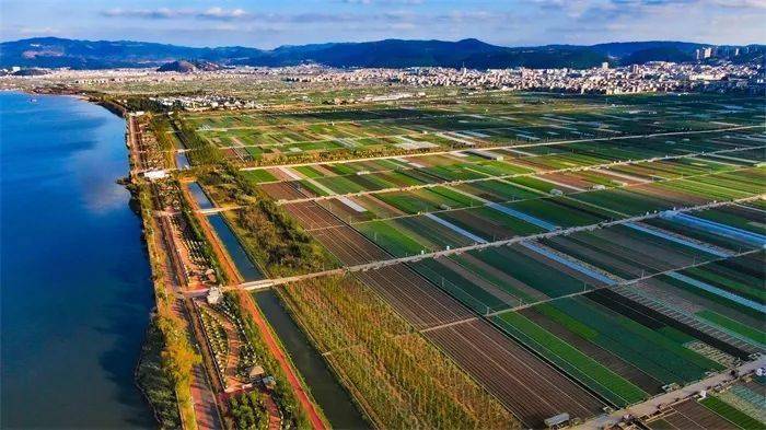 国土空间规划背景下怎么做好农村产业发展的规划