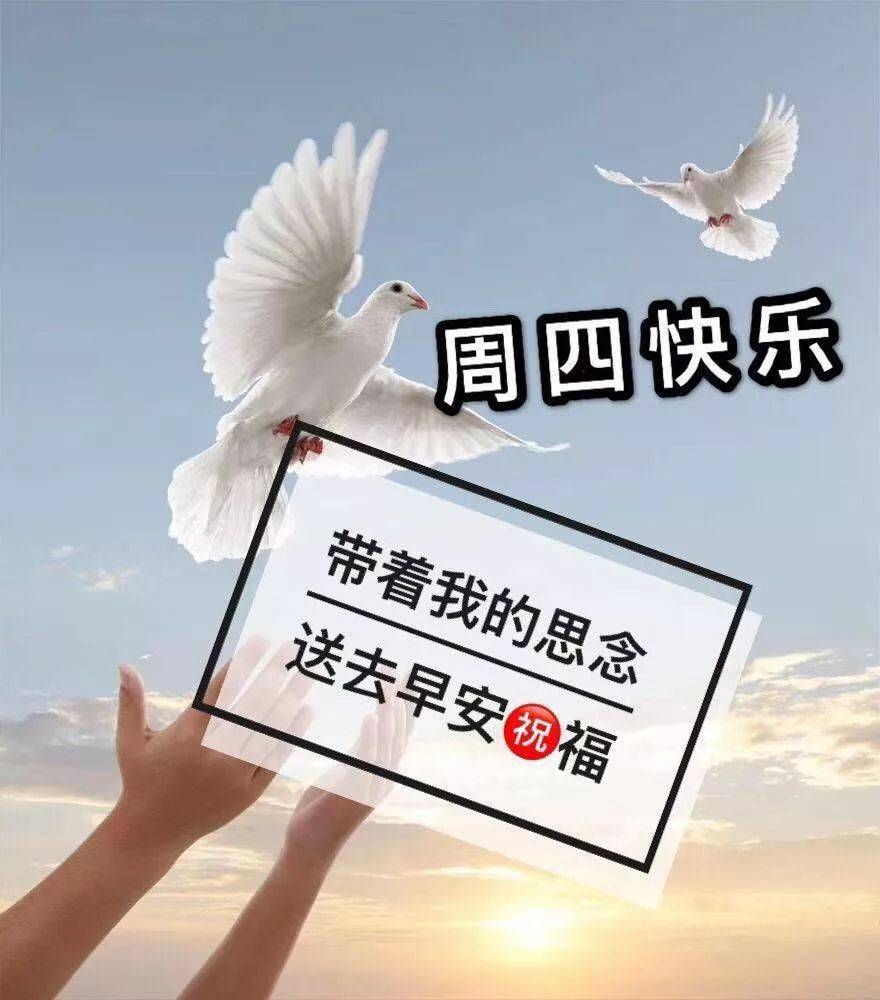 最新最美的周四早上好表情包已是数九寒天多添衣服别感冒了