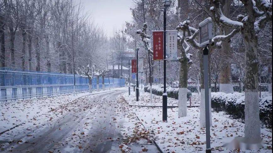 最美不过下雪天 快来围观驻鲁高校雪后初霁_山东
