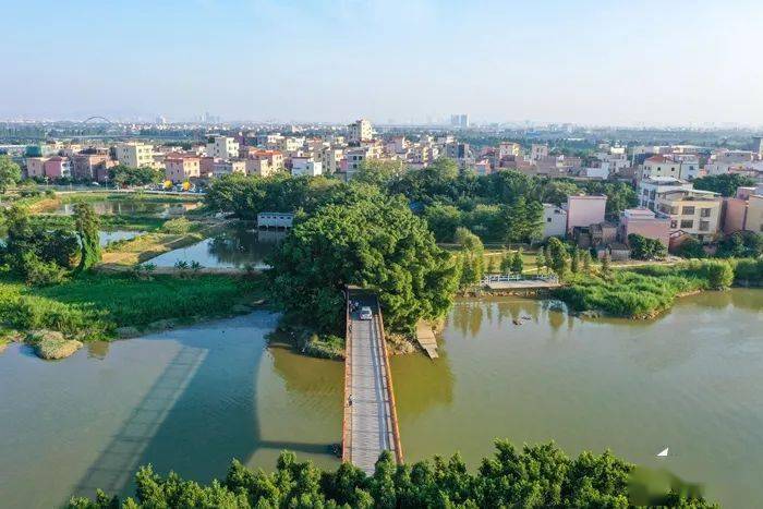 鲁岗村四面环水,景色优美