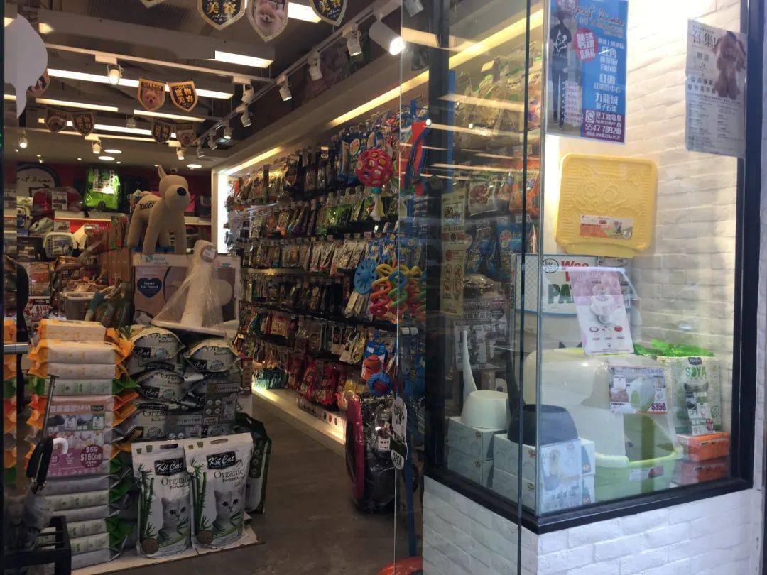 陈老师课堂宠物门店经营碎碎念之商品陈列