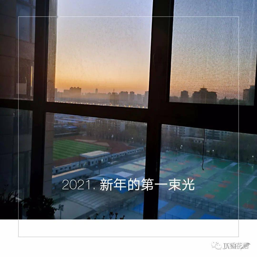 2021,新年的第一束光|紫丁香