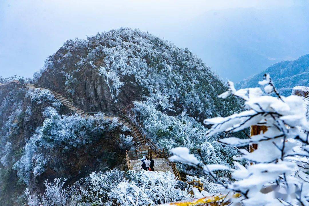 佛山出发岭南赏雪胜地金子山再现冰挂雾凇美景