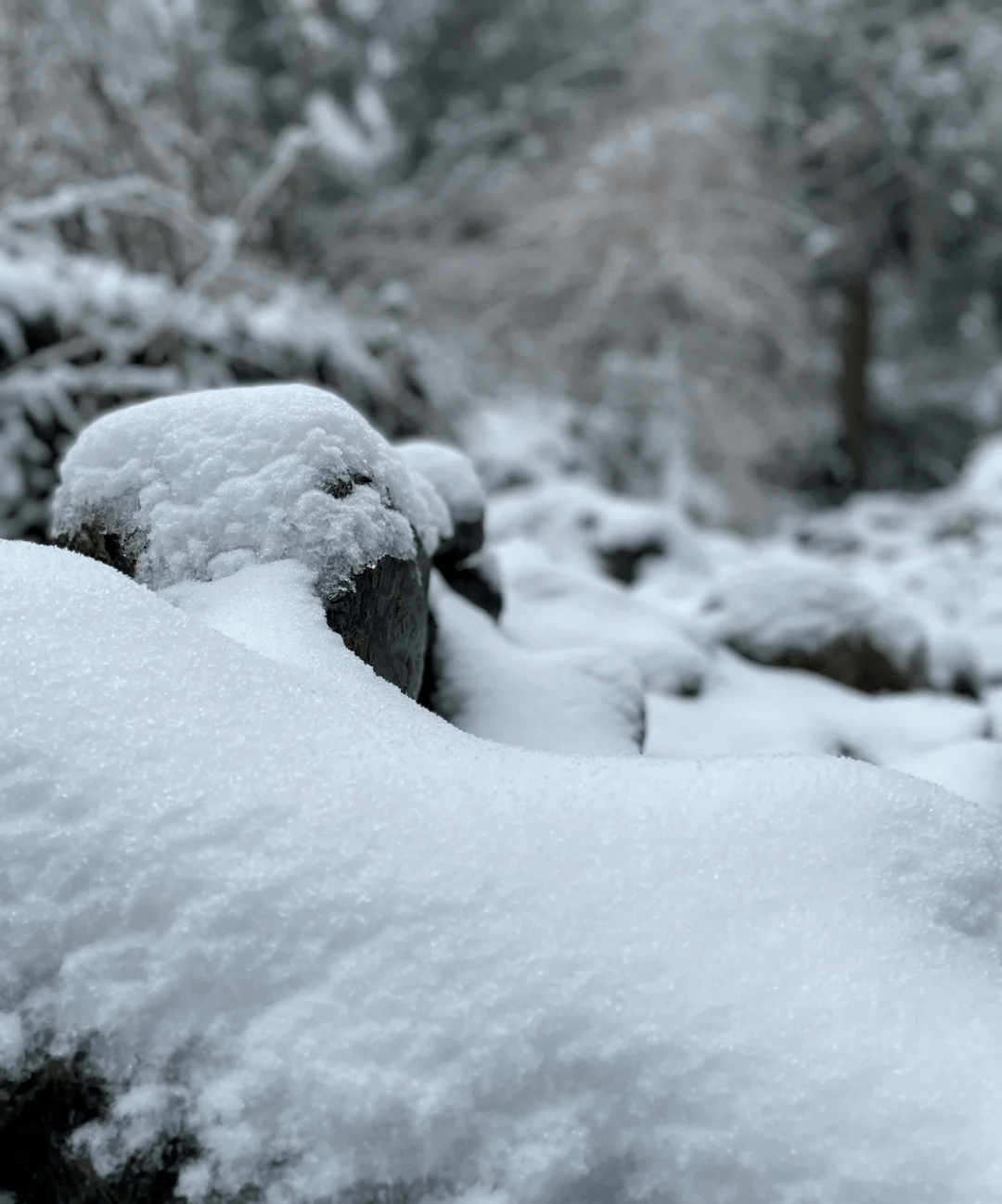 什邡·神瀑沟下大雪了!9.9元抢购冬季单人门票,39.9元