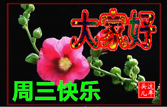 最美聊天图片 (17)