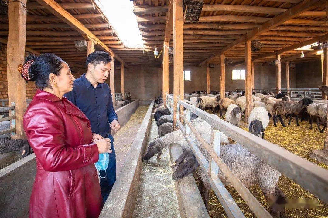 2020伽师县GDP_伽师县的风景图片(2)