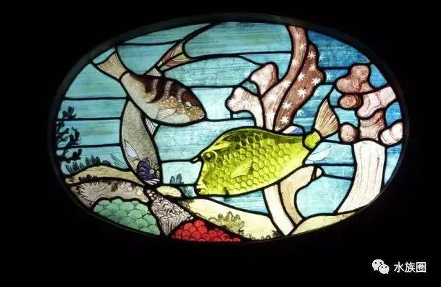 水族有多少人口_北流隆盛镇有多少人口(3)