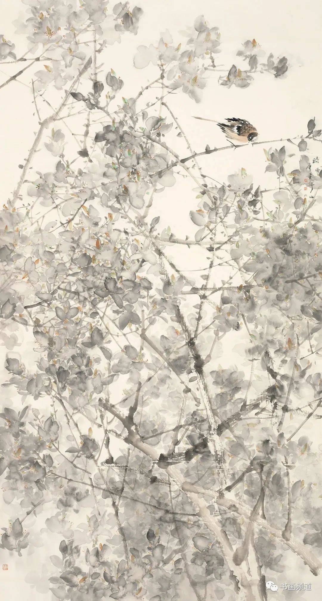 美术周刊| 走进花鸟写意 遥想草木丹青 “写意·苏州”(花鸟篇)中国画双年展亮相苏州_cm