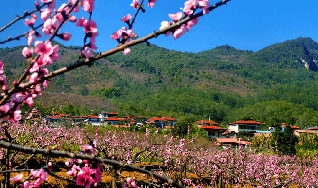 乡村旅游看临沧丨镇康县木场乡—蕨坝自然村