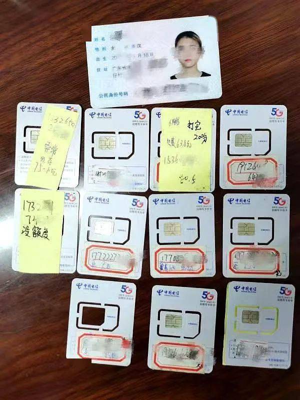 合雷州人口_雷州石狗(3)