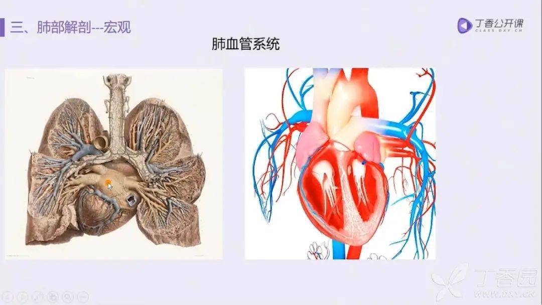 ct 上肺静脉层面比肺动脉层面低.