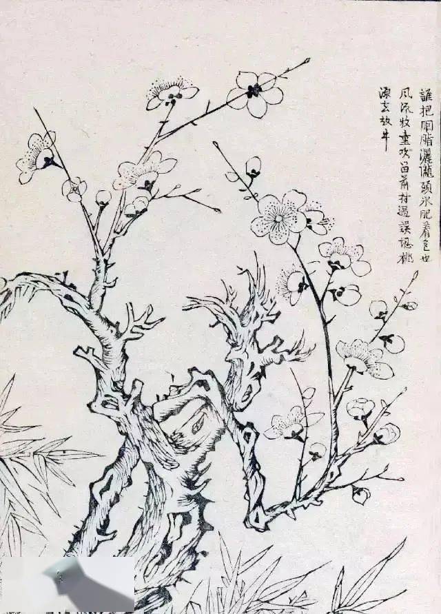 梅花的阵阵清香是冬天里最好的礼物,冬天里也最适合画梅花