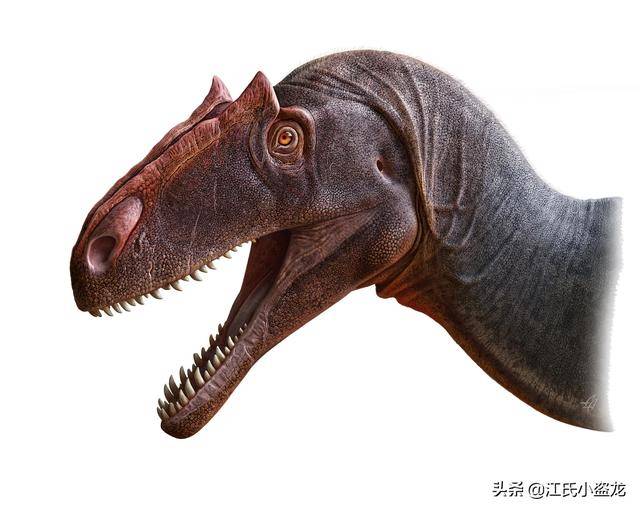 2020古生物学家到底命名了多少种恐龙?