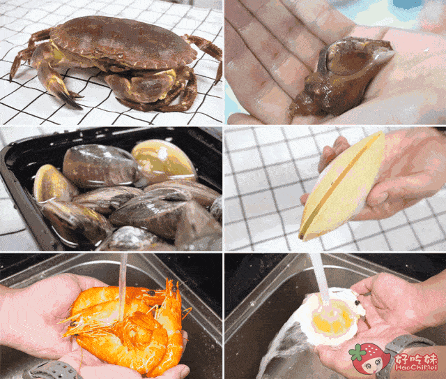 2021年湛江有多少人口_湛江黄梅有多少公里(2)