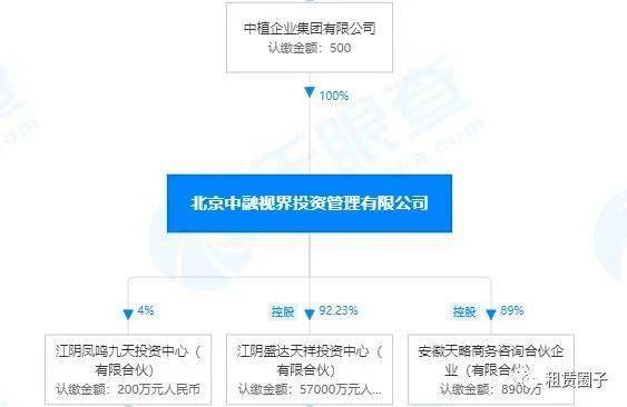 中植系融资租赁大败局