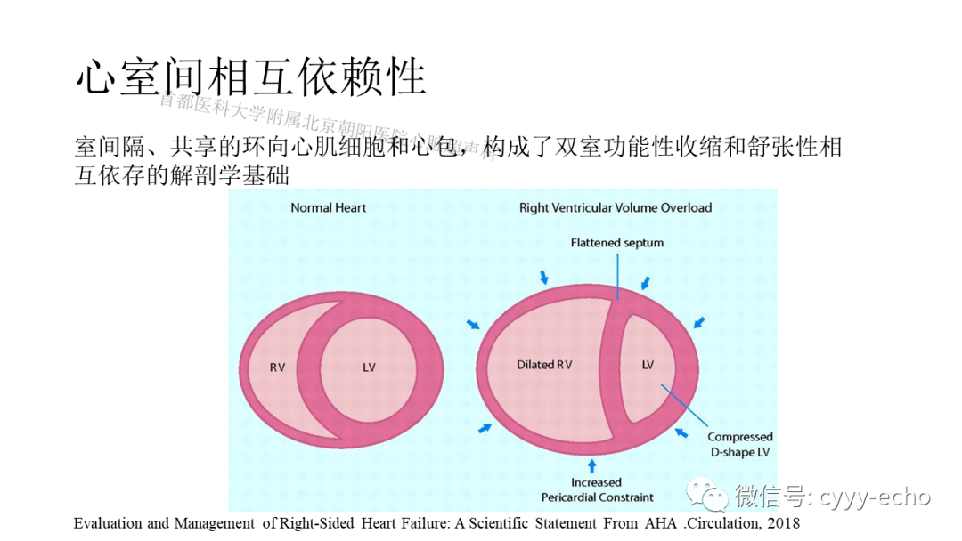 右心室结构功能和功能障碍一
