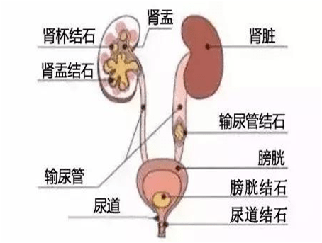963ae212461c42968384f5f4b7bdbd6c.png