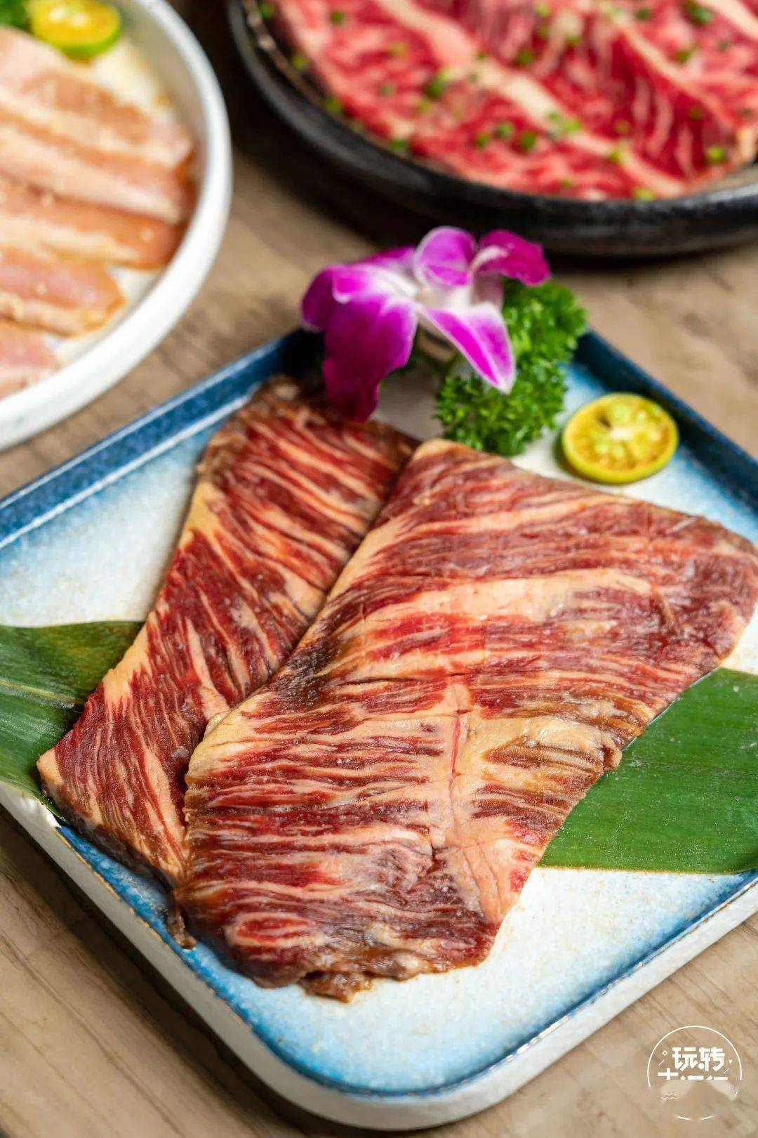人均肉食_肉食动物