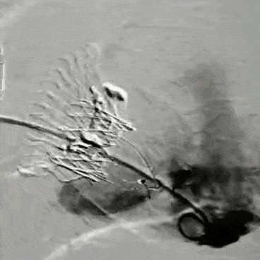 368_368gif 动态图 动图