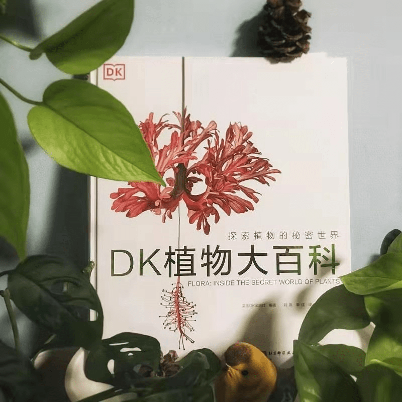 开团】把英国皇家植物园搬回家是什么体验？_邱园