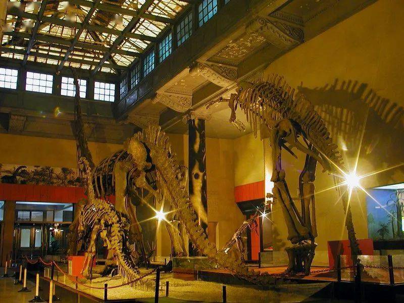图七,上海自然博物馆(旧馆)底层大厅内的合川马门溪龙骨架 拍摄于2002