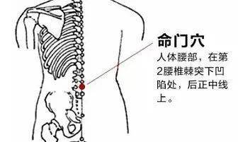 命门穴是督脉的第四个穴位,古人认为人体的元气是在命门穴这个位置